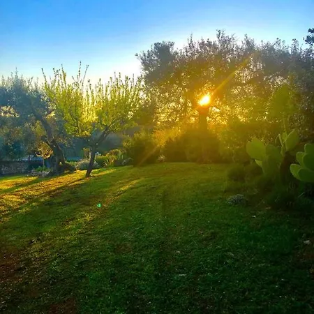 Spacious With Pool In Bari 100 M² - Lush Garden Alberobello