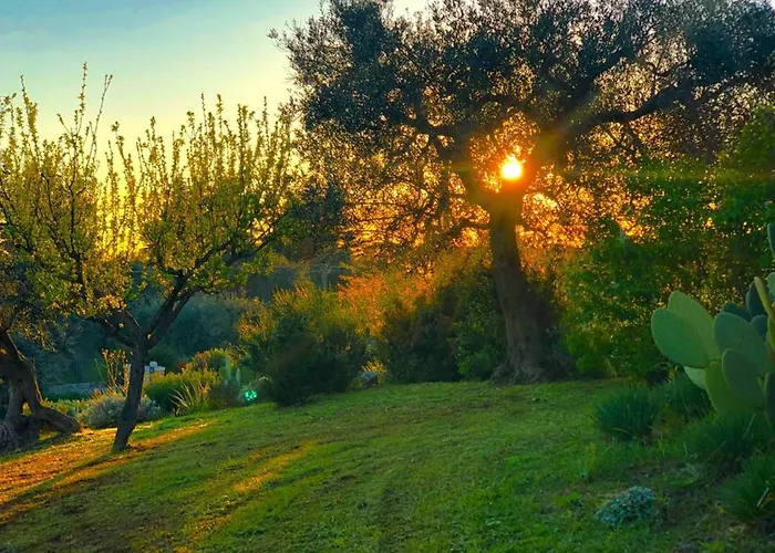 וילה Spacious With Pool In Bari 100 M² - Lush Garden אלברובלו