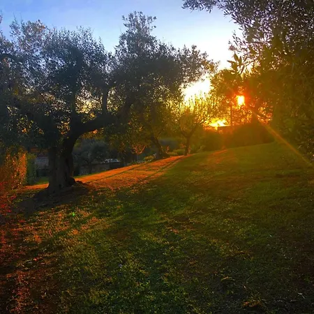Βίλα Spacious With Pool In Bari 100 M² - Lush Garden Αλμπερομπέλο