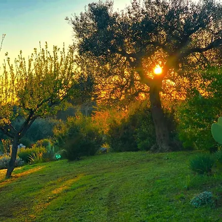 Spacious With Pool In Bari 100 M² - Lush Garden * Alberobello